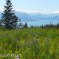 36353 Wild Haven Road, Homer, AK 99603 ID:10139280