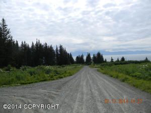 210 Meadow Court, Homer, AK 99603