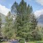 112 Gstaad Way, Girdwood, AK 99587 ID:9944617