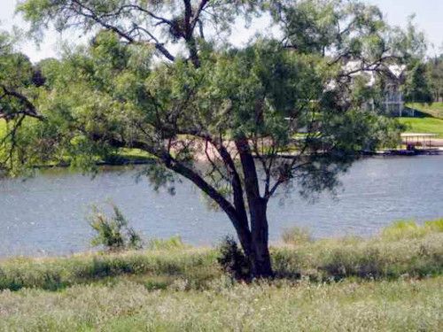 Lot 7W Primera Court, Buchanan Dam, TX 78609