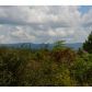 194 Arbor Hills Trail, Talking Rock, GA 30175 ID:10192226