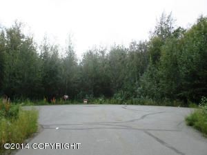 10626 E Talking Man Drive, Palmer, AK 99645