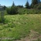 3813 Forest Glen Drive, Homer, AK 99603 ID:10140199