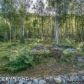 25200 Homestead Road, Chugiak, AK 99567 ID:9968608