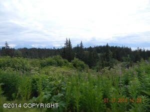 131 Tulin Bluff East Court, Homer, AK 99603