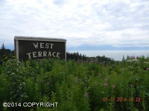 175 Tulin Bluff West Court, Homer, AK 99603