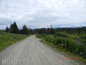 L41 Fireweed Avenue, Homer, AK 99603