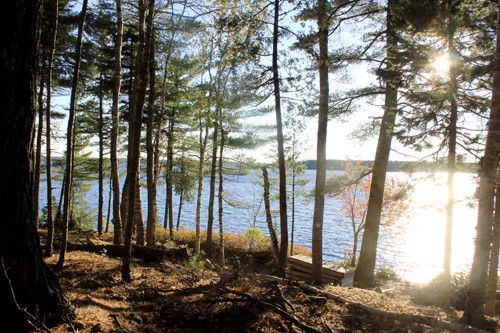 1 Cathance Lake, Machias, ME 04654