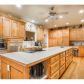 110 Mole Mountain Court, Jasper, GA 30143 ID:10065014