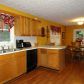 4435 Stacey Drive, Oakwood, GA 30566 ID:10148822