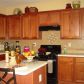 1387 Belfaire Lake Trail, Dacula, GA 30019 ID:9992380