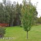 2001 S Chilligan Drive, Wasilla, AK 99654 ID:10251827