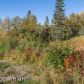 19341 TIMBERLINE Drive, Eagle River, AK 99577 ID:10330074