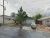 6Th Williams, AZ 86046