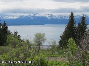 349 Fireweed Avenue, Homer, AK 99603