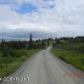 Tr. 30 West Highlands Boulevard, Homer, AK 99603 ID:10138830