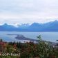 360 Paintbrush Street, Homer, AK 99603 ID:10138608