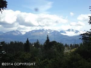 L41A Mountain View Court, Homer, AK 99603