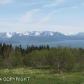 53849 Marlea, Homer, AK 99603 ID:10138331