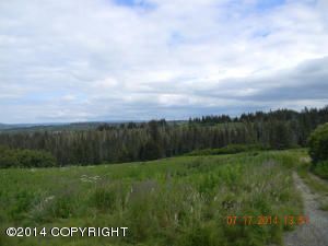 Tr. 25 West Highlands Boulevard, Homer, AK 99603