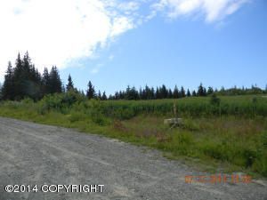 Tr. 27 West Highlands Boulevard, Homer, AK 99603