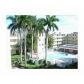 2800 NW 56 AV # E-303, Fort Lauderdale, FL 33313 ID:10357766