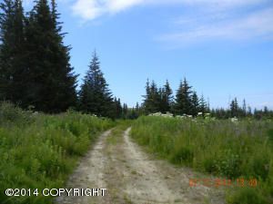 Tr. 24 West Highlands Boulevard, Homer, AK 99603