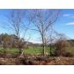 0 Hwy 411, Rydal, GA 30171 ID:10302204