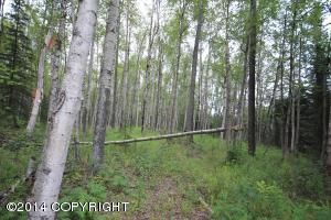 3143 S Edelweiss Drive, Wasilla, AK 99654