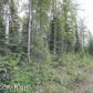 3143 S Edelweiss Drive, Wasilla, AK 99654 ID:9917454