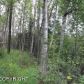 3143 S Edelweiss Drive, Wasilla, AK 99654 ID:9917456