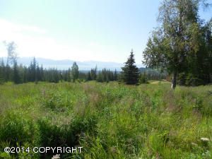 55321 Tracy Avenue, Homer, AK 99603