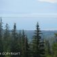 55321 Tracy Avenue, Homer, AK 99603 ID:10139066