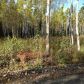 22957 W Ayrshire Avenue, Wasilla, AK 99654 ID:10346689