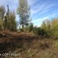 22957 W Ayrshire Avenue, Wasilla, AK 99654 ID:10346693