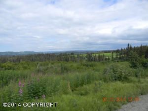 Tr. 32 West Highlands Boulevard, Homer, AK 99603