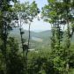 8256 Cox Mountain Road, Jasper, GA 30143 ID:10017509