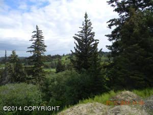 Tr. 8B West Highlands Boulevard, Homer, AK 99603