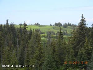 Tr. 7 West Highlands Boulevard, Homer, AK 99603