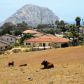 887Atascadero Road, Morro Bay, CA 93442 ID:10303736