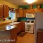 1395 S Pinnacle Mountain Drive, Palmer, AK 99645 ID:10365173