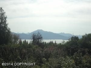 406 E Bayview Avenue, Homer, AK 99603