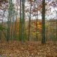 73 Mathieson Point, Jasper, GA 30143 ID:9542163