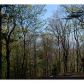 252 Wild Turkey Bluff, Jasper, GA 30143 ID:10131506