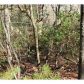 252 Wild Turkey Bluff, Jasper, GA 30143 ID:10131507