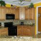 1584 Fredricksberg Drive, Loganville, GA 30052 ID:9892705