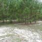 4788 NE County Line, Ludowici, GA 31316 ID:10420137