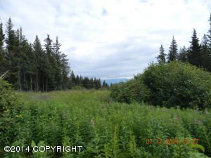 190 Tulin Bluff West Court, Homer, AK 99603