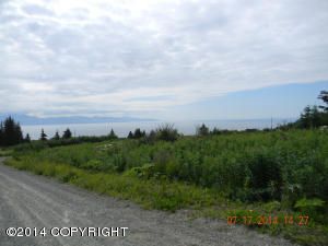 230 Meadow Court, Homer, AK 99603