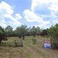 0 BUSHNELL, Needville, TX 77461 ID:10093450